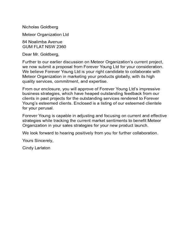 40957 project proposal example
